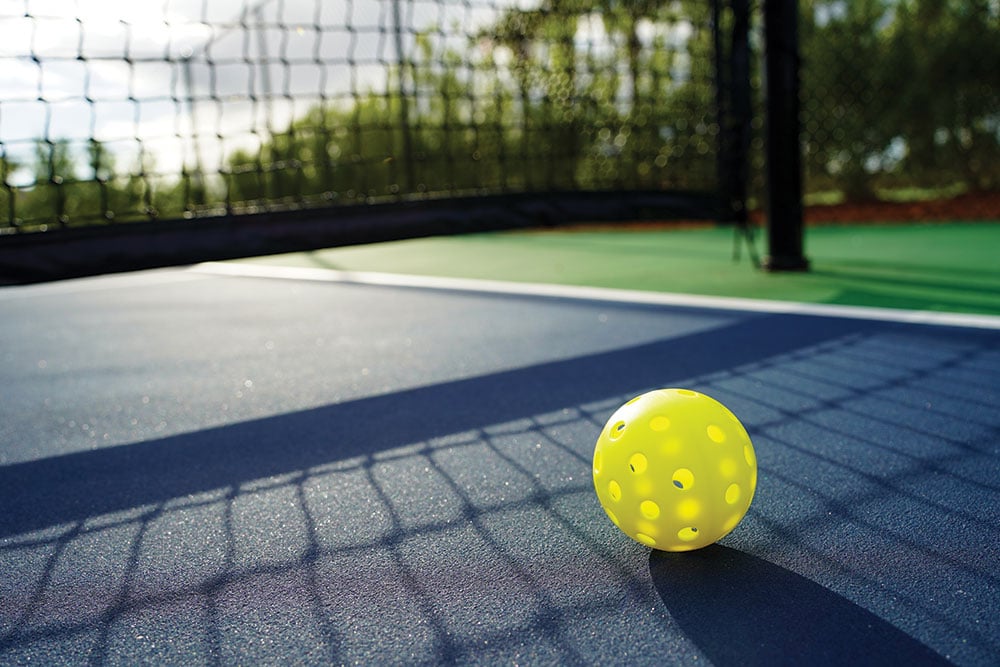 Pickleball Net